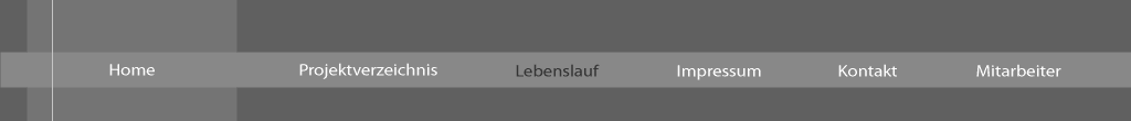 lebenslauf